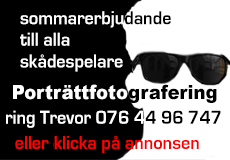 Porträttfotografering